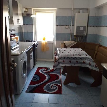 סלניק מולדובה Apartament Aurora מראה חיצוני תמונה