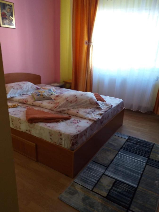 סלניק מולדובה Apartament Aurora מראה חיצוני תמונה