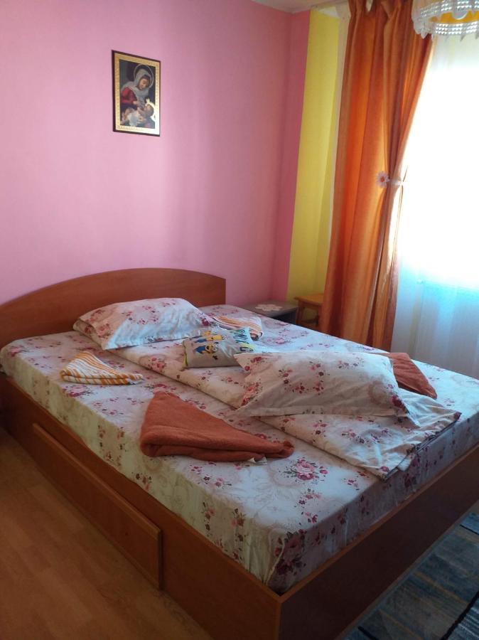 סלניק מולדובה Apartament Aurora מראה חיצוני תמונה