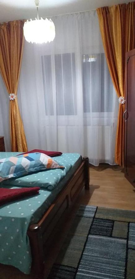 סלניק מולדובה Apartament Aurora מראה חיצוני תמונה