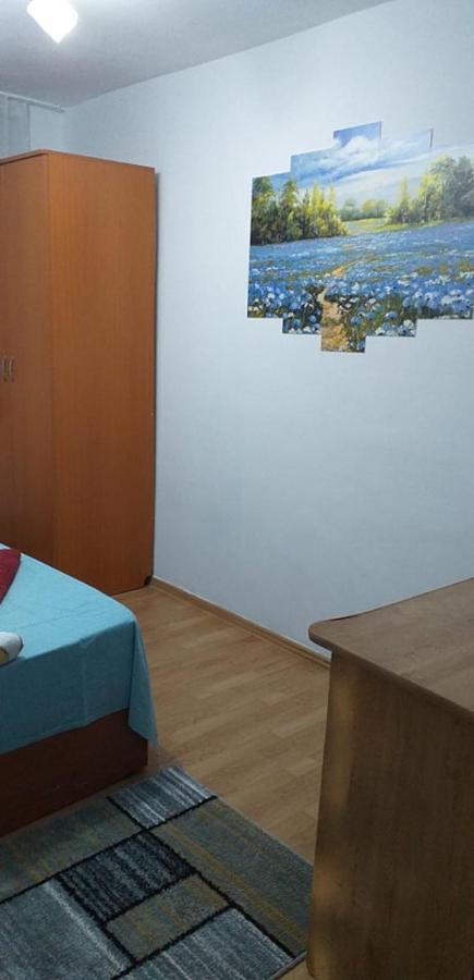 סלניק מולדובה Apartament Aurora מראה חיצוני תמונה