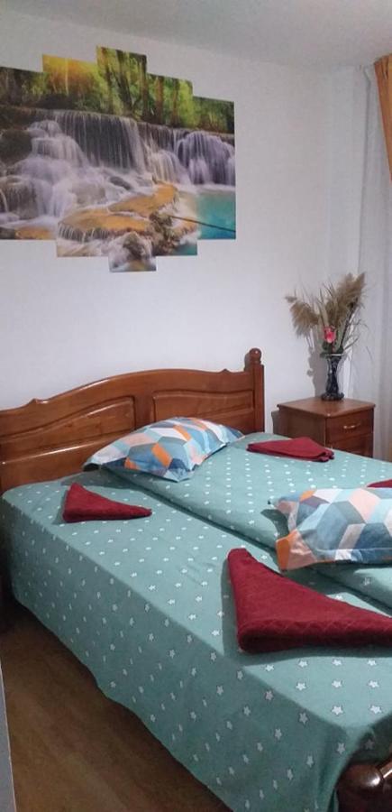 סלניק מולדובה Apartament Aurora מראה חיצוני תמונה